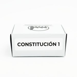 CONSTITUCIÓN 1 - (100 FLASHCARDS)