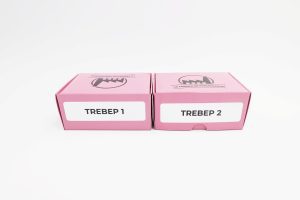 PACK TREBEP 1 y 2 - (200 FLASHCARDS)
