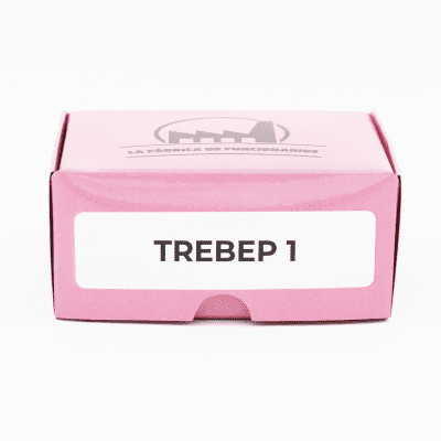 TREBEP 1 (3)