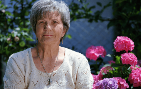 Captura de pantalla 2025-08-22 150005