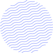 edumall shape 01 2
