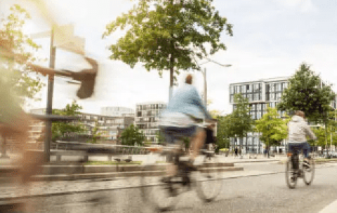 Captura de pantalla 2025-09-02 123328