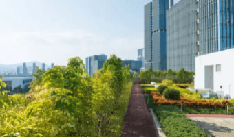 Captura de pantalla 2025-09-02 124255