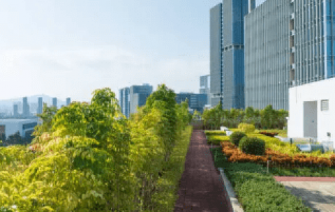 Captura de pantalla 2025-09-02 124255